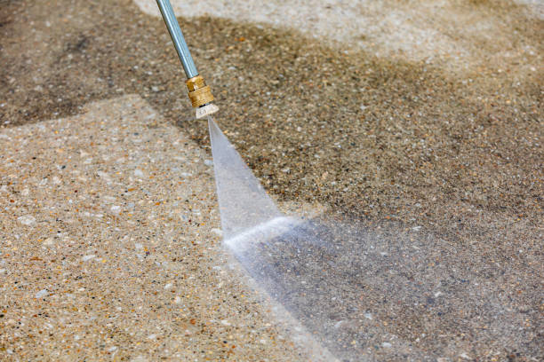Best Animal Enclosure Cleaning  in Richardson, TX